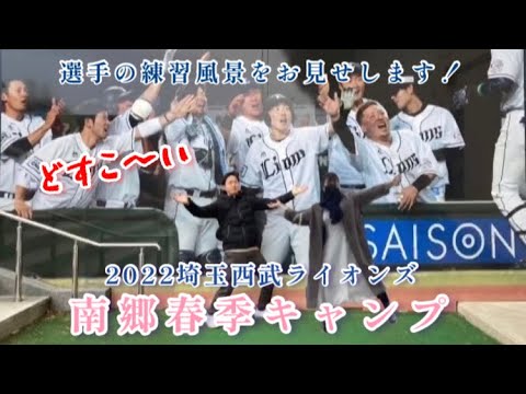 【春季キャンプ】南郷スタジアムに初潜入してました🦁【埼玉西武ライオンズ】