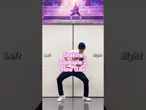 2 9M Shakira Zoo From Zootopia2 Dance Tutorial 0 8x Slow Mirrored ゆっくりダンス解説 簡単練習 