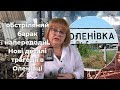 Трагедії в Оленівці    Таролог Людмила Хомутовська