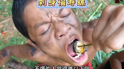 只要AK传媒出品，排骨战士对于刺身福寿螺是爱不释手呀。 - 天天要闻