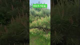 너와 나 #김용빈 #권태섭 #독학하모니카 #트로트 #노래 #여행 #음악 #미스터트롯2 #트롯 #음악 #사랑 #가수 #shorts