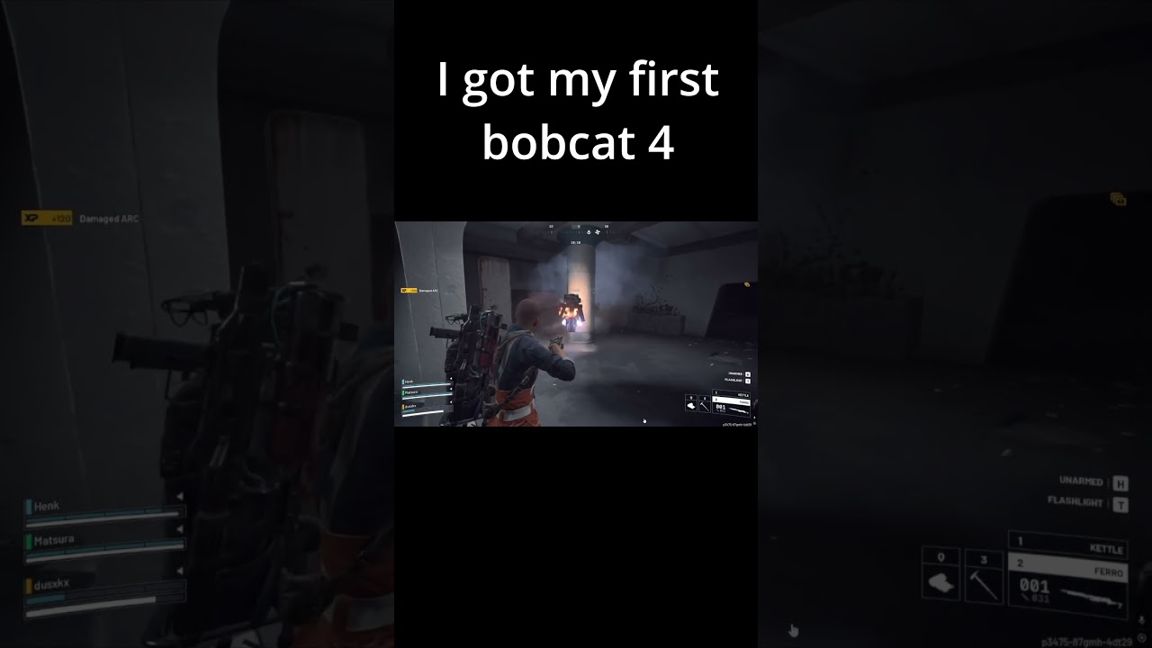 I got my first bobcat 4 