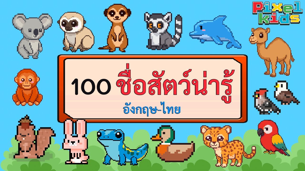 ชื่อสัตว์น่ารู้ 100 ชนิด ภาษาอังกฤษ-ไทย พร้อมวิดีโอภาพจริง และการ์ตูนน่ารักแนวพิกเซล | Animal Names