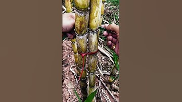 Reusable nylon cable ties #goodtools #smartwork