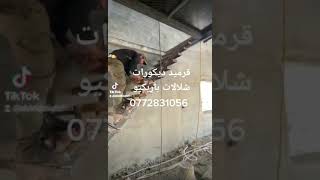 قرميد ديكورات شلالات باربكيو معرشات فير بليس 0772831056