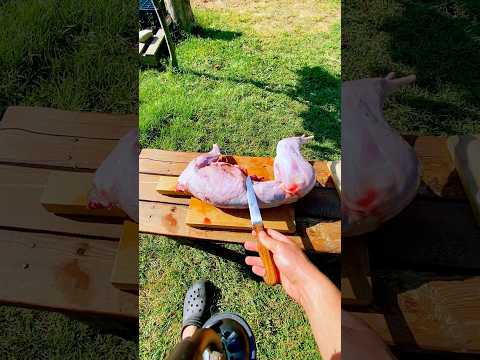 YABAN TAVŞANI PİRZOLASI