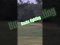 The End Though #deer #deerhunting #animals #wildlife #animal #wildanimals #shorts #short #fyp
