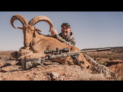 OTG: Savage Impulse Straight-Pull Rifle Review