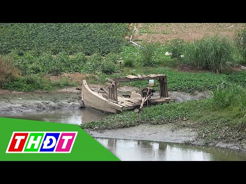 Video Huyện Hồng Ngự: Dòng kênh cạn nước khiến người dân gặp... - youtube