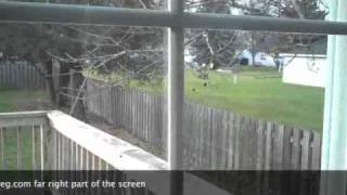 Green Bay Foreclosure Pulaski WI