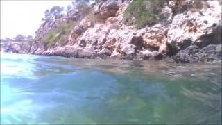 Mallorca Schnorcheln in Cala Pi 18.08.2016
