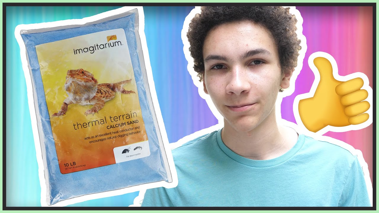 reptile care app Why Calcium Sand is the Best Reptile Substrate!