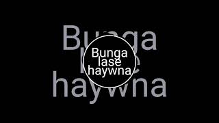 Bunga Laswi Haywna Swrba Tanw bodo song | Bunga lase haywna swrba tanw | New bodo video 2024