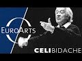 Sergiu Celibidache "You Don`t Want Anything, You Just Let It Happen" (Documentary, 1992)