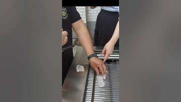 Fish slicer machine for bass