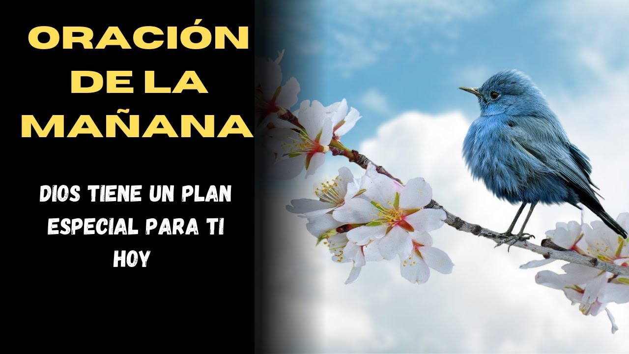 DIOS TIENE UN PLAN ESPECIAL PARA TI HOY - YouTube