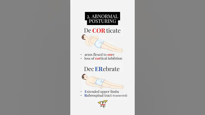 Save these for your exams 🧠🔥#medstudent #medschool #usmle #usmlestep1 #neurology #neuro