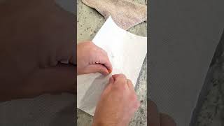 Famous Easiest Way to Save Tomato Seeds  #easy #diy #garden #gardening #seeds Net Worth