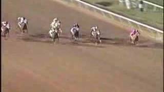 Sooner State Stakes RG1 - 2008