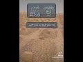 ماذا يقول عند زيارة القبور للشيخ ابن باز رحمه الله ماذا يقول عند زيارة القبور للشيخ ابن باز رحمه الله