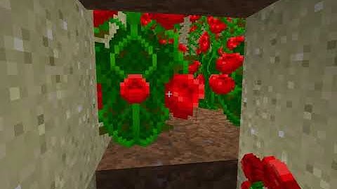 cách làm bẫy cát rơi troll noob và những tên ham tiền