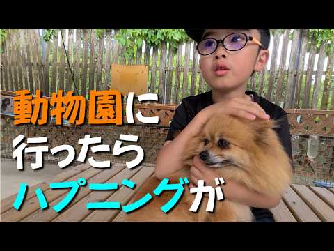 動物園に行ったら閉園間際に息子が大事なものを奪われた