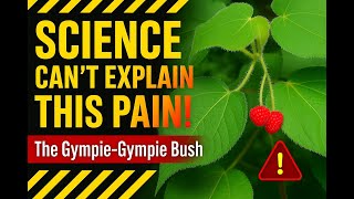 Gympie-Gympie: Nature’s Most Painful Plant – Episode 3 | Science Explains the Agony