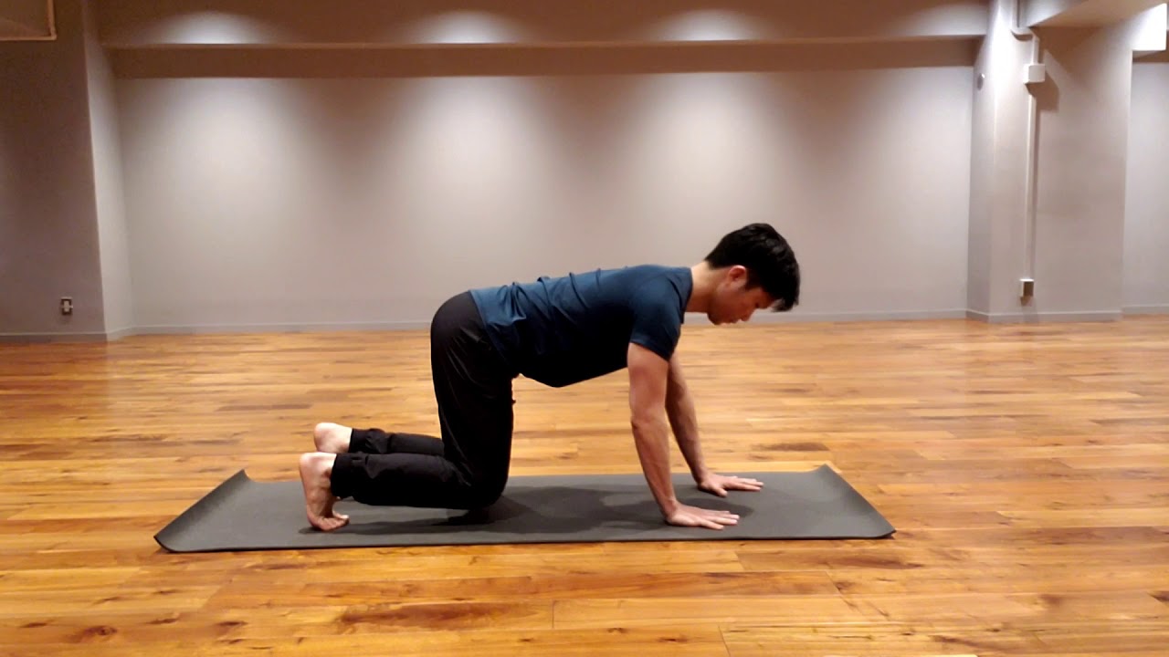 ベアクロール〜体幹と手足の動きを連動させる〜【はじめての 
