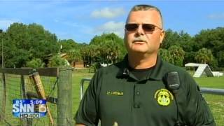 Famous Keeping K9 Deputies Cool Profile