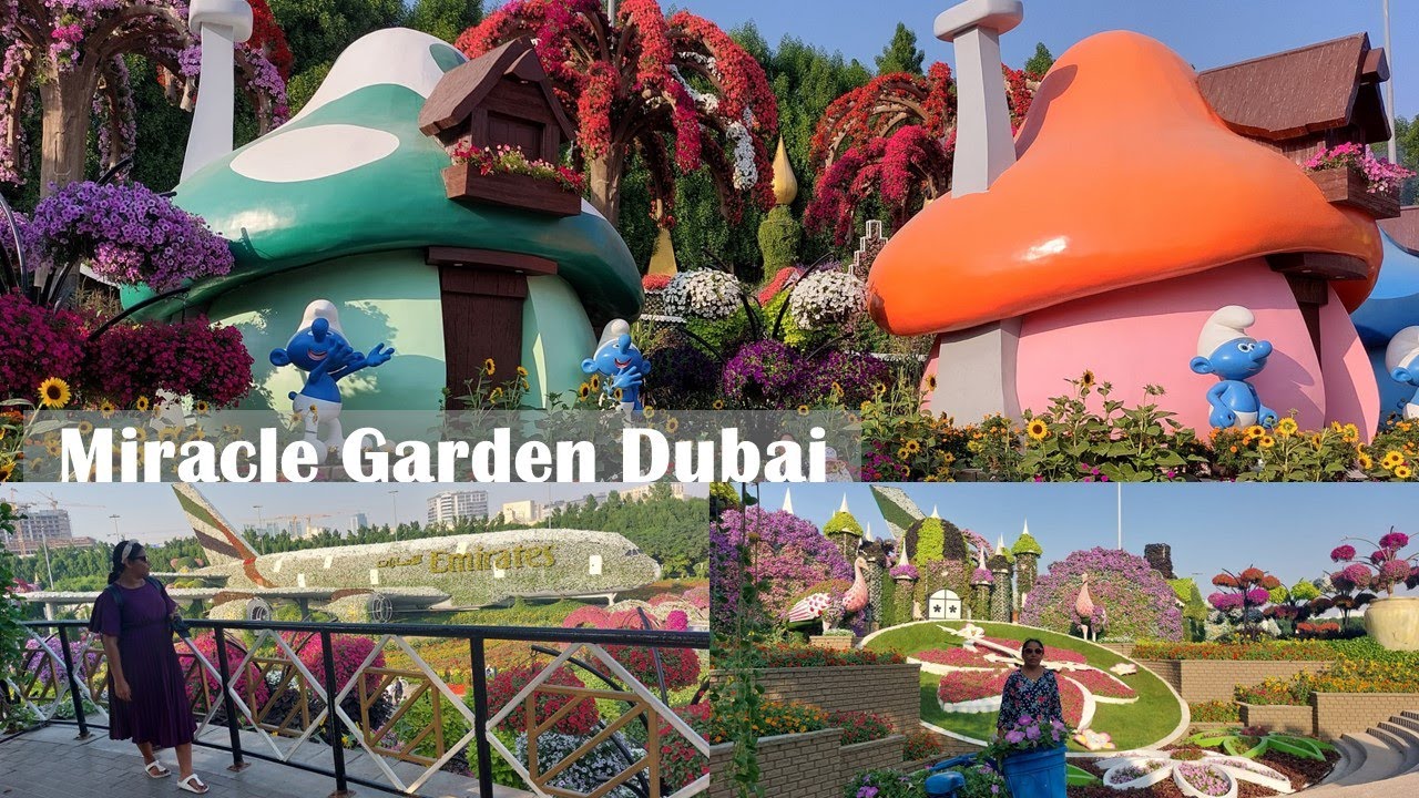 Miracle Garden Dubai 2022 The world’s largest natural flower garden
