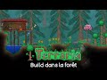 Terraria Build dans la forêt N°1 (Je m'entraine au build)