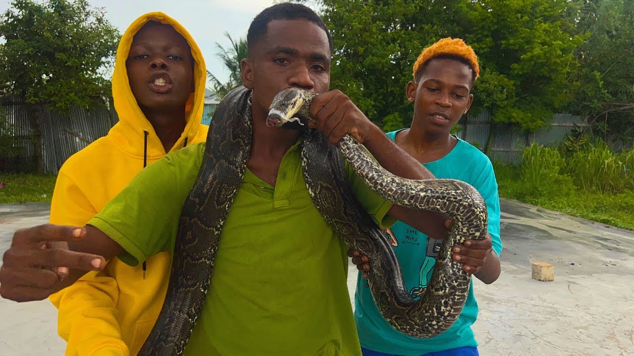 Dance Moves With a Venomous Python [Snake] - YouTube