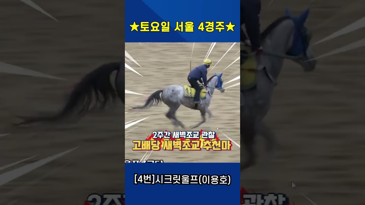 4월11일 토요일 서울 4경주!! 2주간 훈련보인 강백호의 새벽조교 쏘스마!!