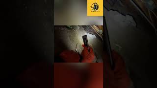 Mice Droppings &amp; Pipe Problems: Crawl Space Inspection Secrets Revealed! #shorts