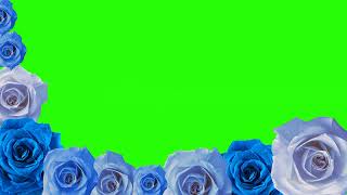 #footage#green#roses#рози сині