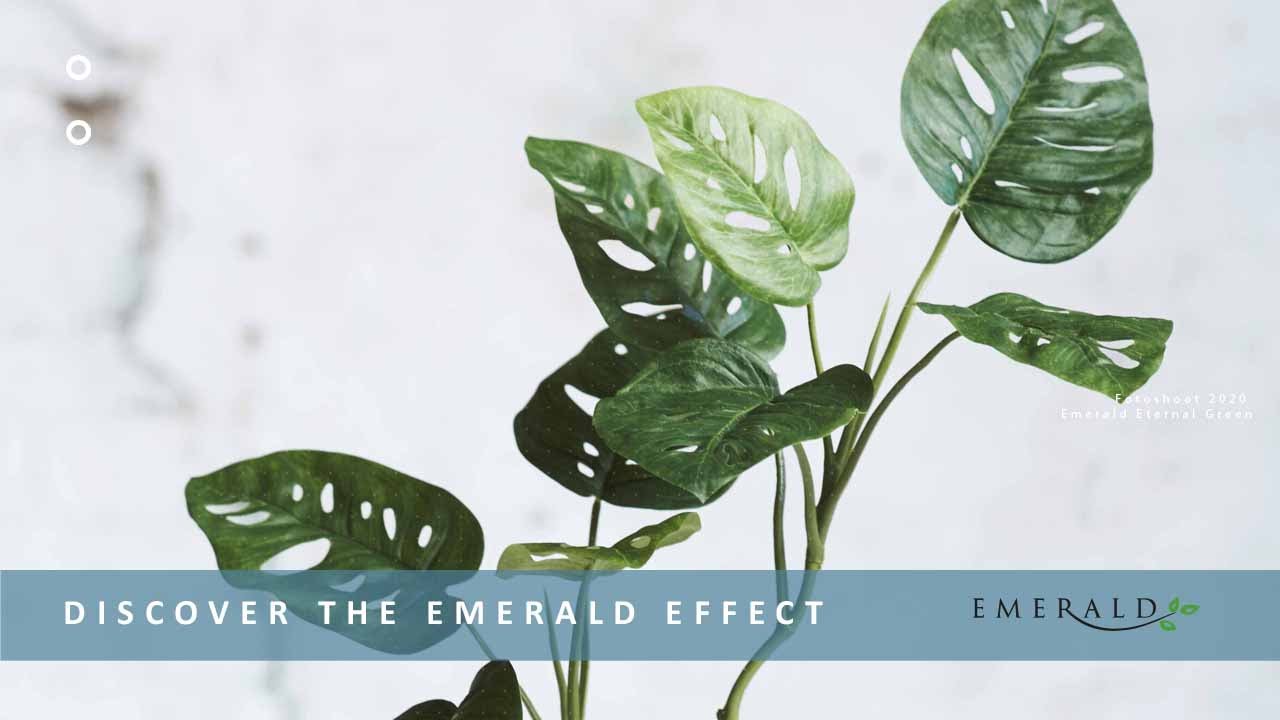 Emerald Eternal Green Discover the Emerald effect Part 1