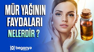 Mür Yağının Faydaları Nelerdir