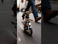 Ozzy andando de moto #moto