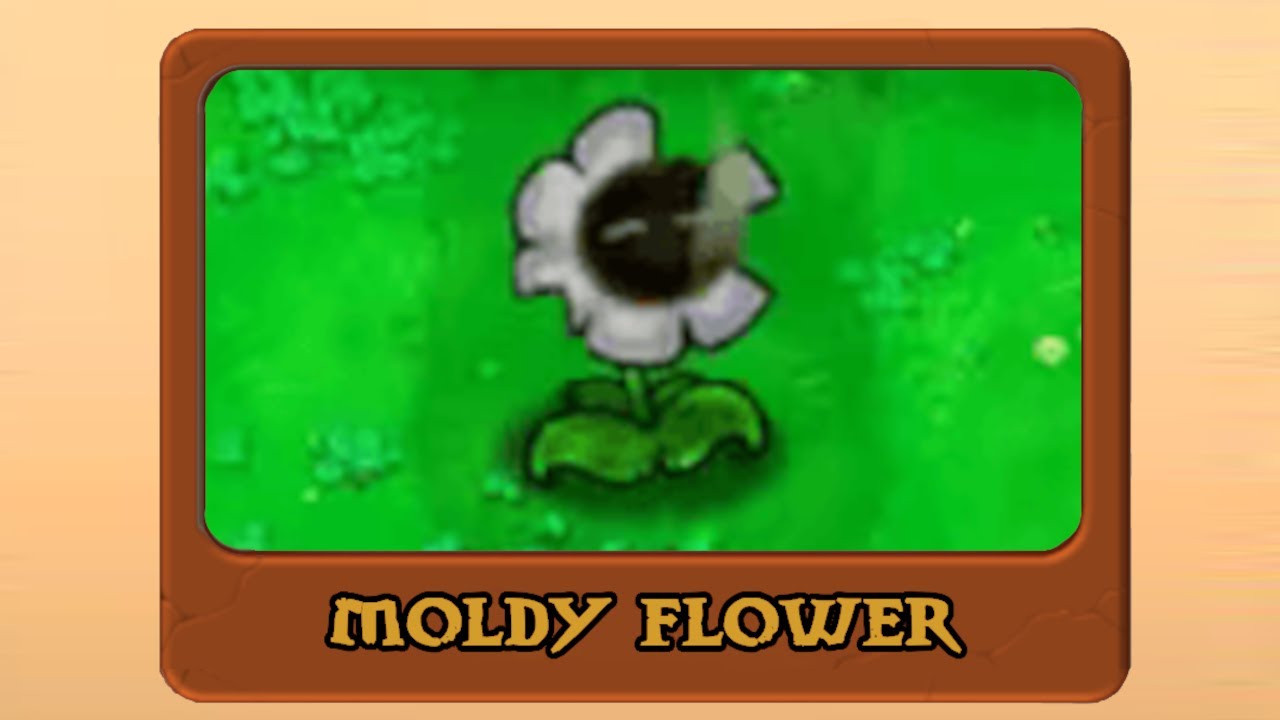 Moldy Flower Plants vs Zombies New Plant Update 2023 YouTube