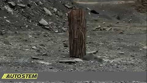 AutoStem Tree demolishing