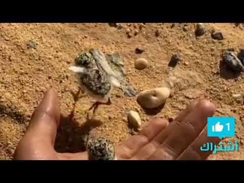 أهداء ل هيئة الحياة الفطرية