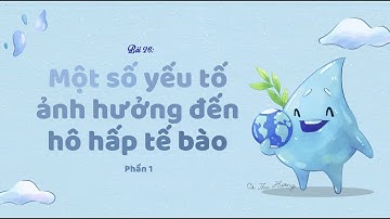 Bài 26. Một số yếu tố ảnh hưởng đến hô hấp tế bào (phần 1) - KHTN 7 - Kết nối tri thức... - OLM.VN