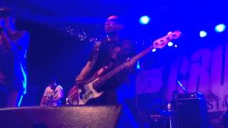 Paw Shut Up And Listen