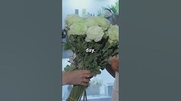 The Ripple Effect of Kindness 🌟