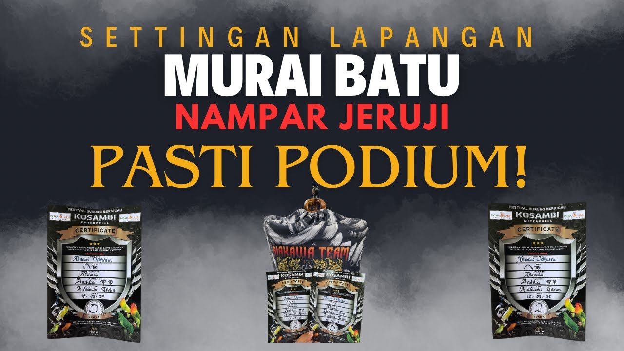 Settingan Lapangan Murai Batu Nabrak Jeruji Atau Ngetip Jeruji, Pasti Kerja ‼️