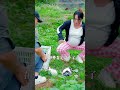 #reelschallenge