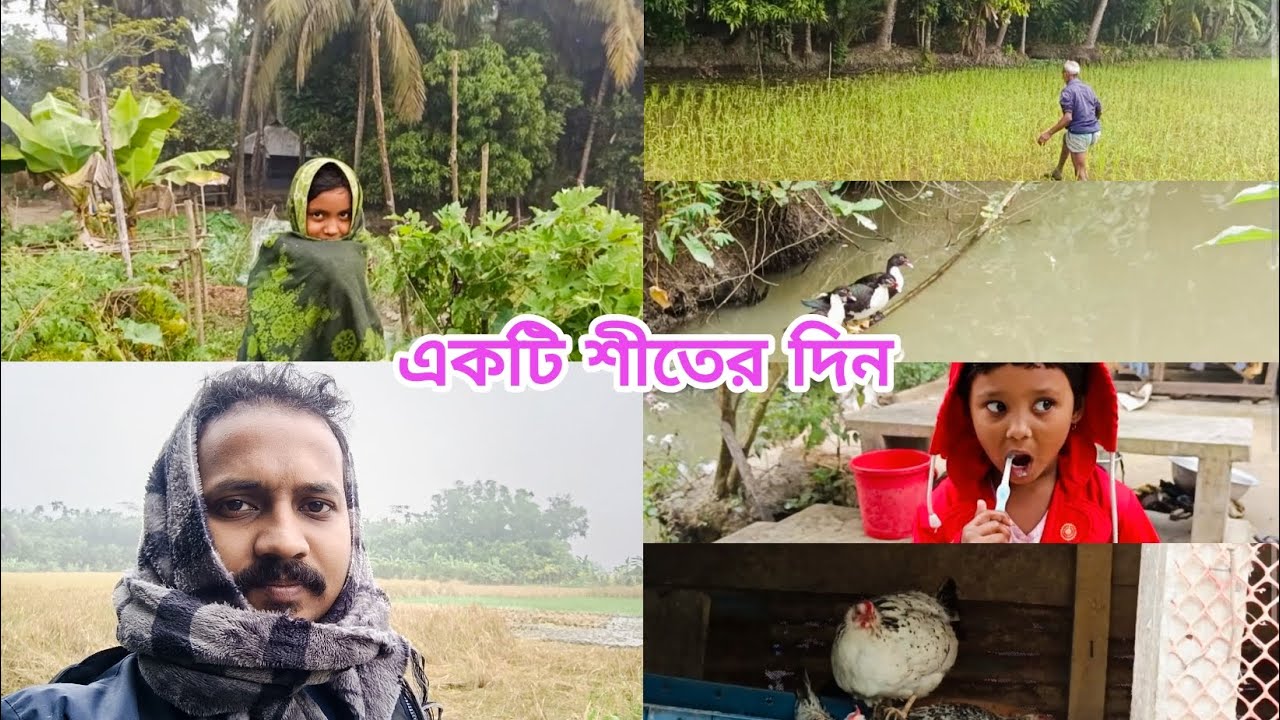 Refreshing Winter Day in a Beautiful Village of Bangladesh. Winter ASMR. Winter in Village. #viral 