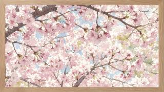 Cherry Blossom Watercolor 🌸 Soft Spring Art for TV Wood Frame | 4K Frame TV Background 2 Hours screenshot 2