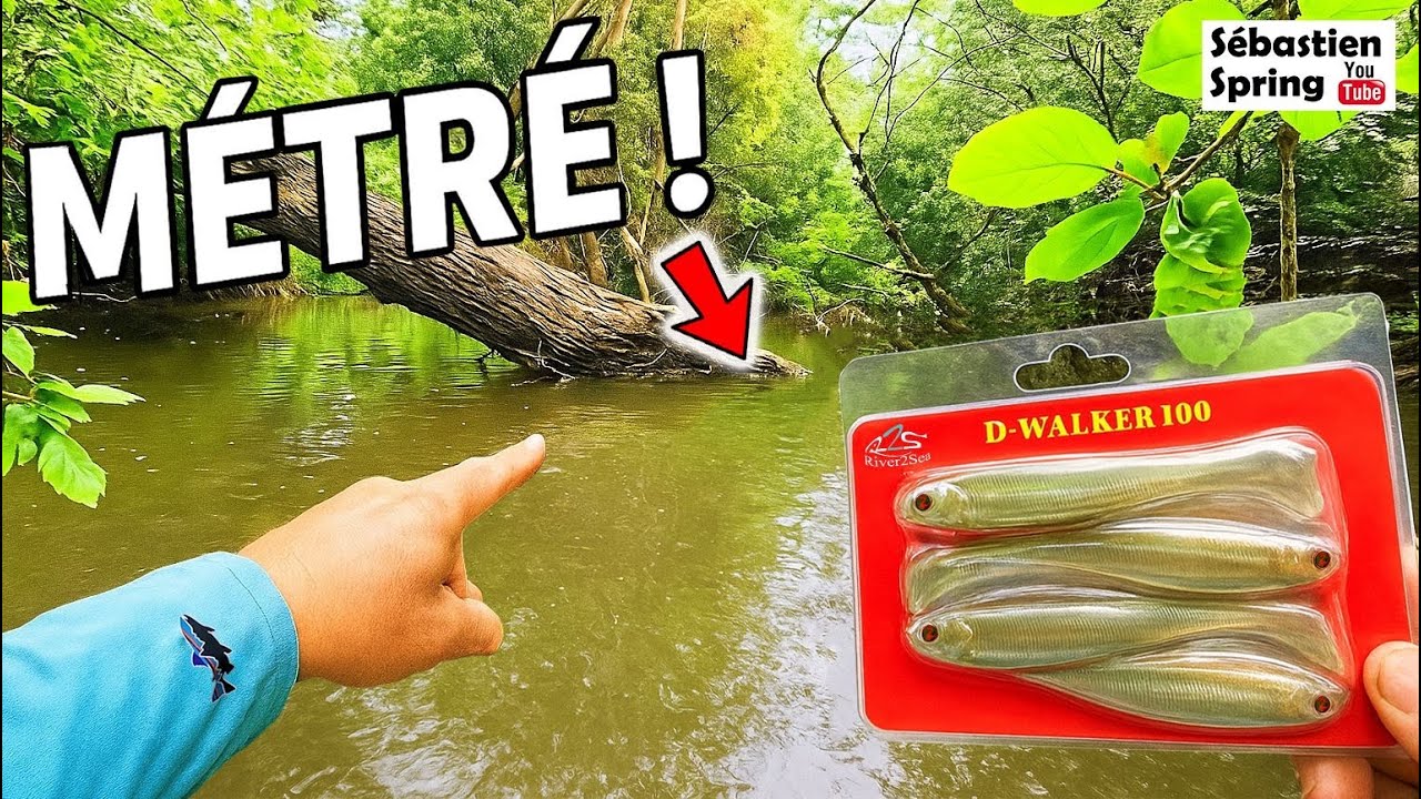 Un SEUL leurre pour pêcher le plus GROS POISSON de cette minuscule rivière !!!