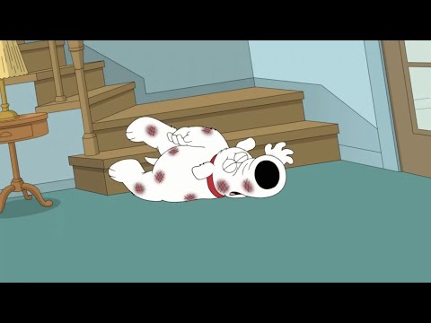 Family Guy – Brian Falls Down The Stairs